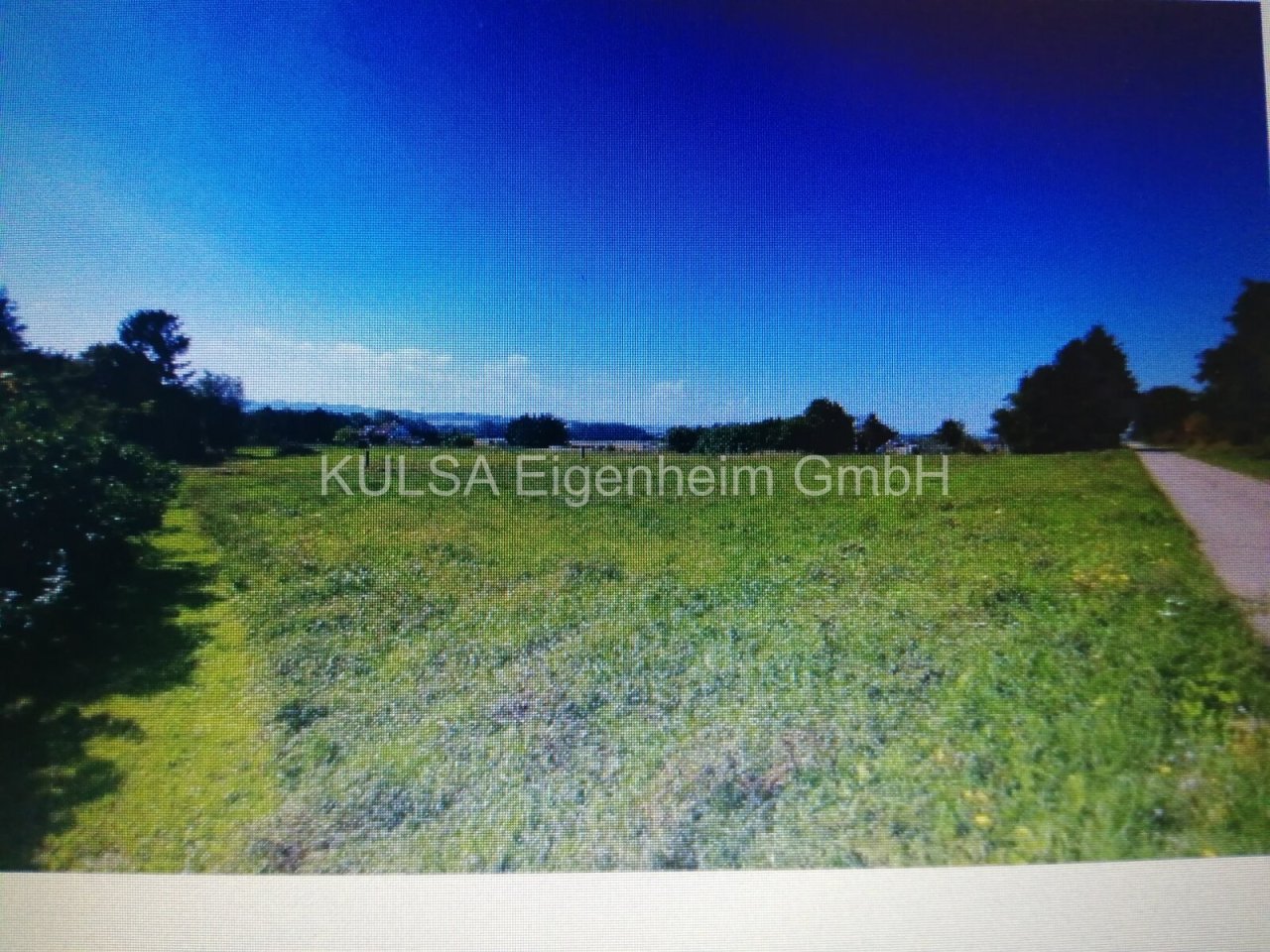 IMG 20240516 133434 IMG 20240516 133434